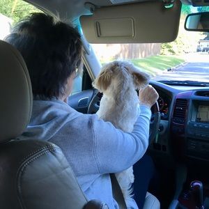 Meet your Posher, Todd